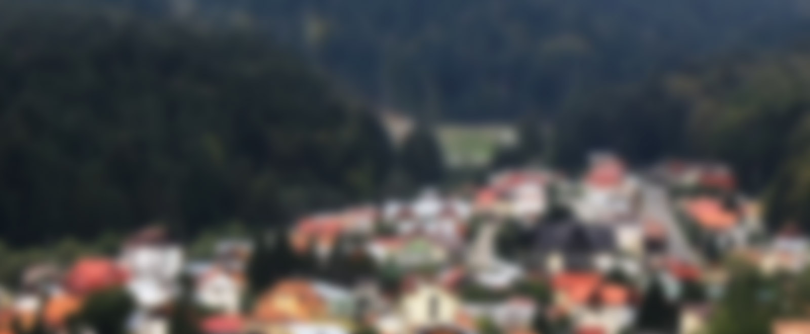 slide4