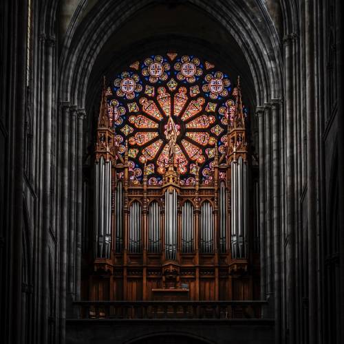 blog4-img3