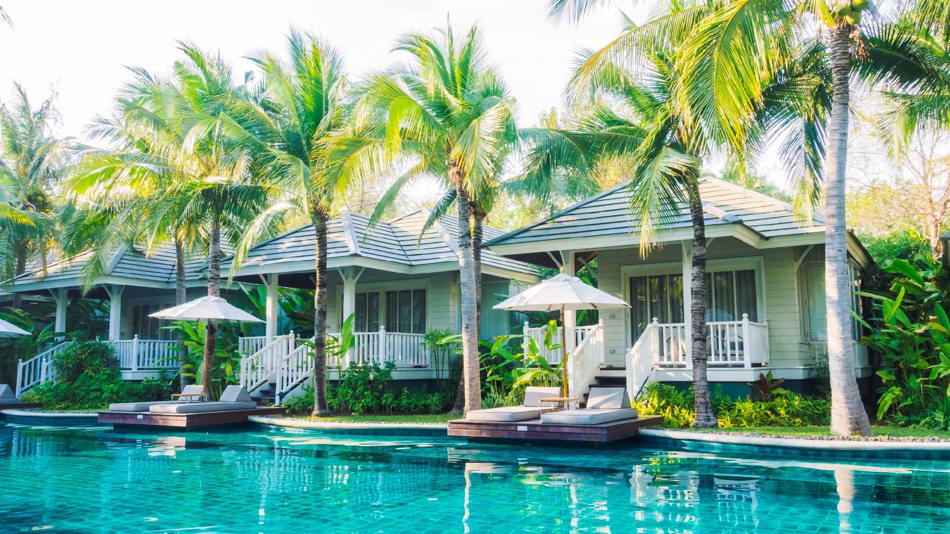 home-header2